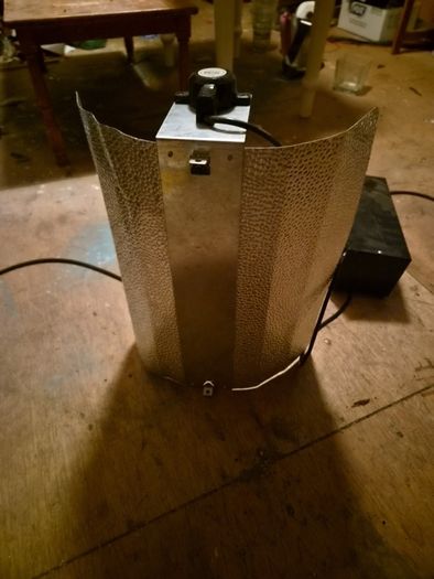 Black Orchid 600W HPS Grow Light Kit