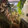 Exoterra Terrarium Image 5