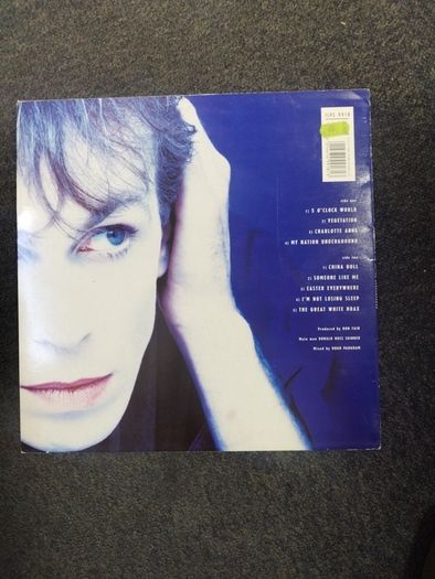 Julian Cope My nation underground lp