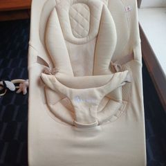 The Ergobaby 3-in-1 Evolve Bouncer
