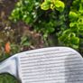 wedges Image 6