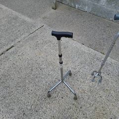 2 walking stick