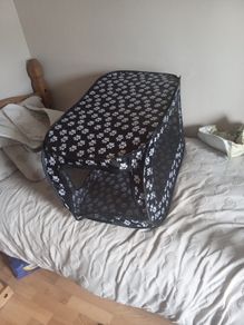 pet kennel