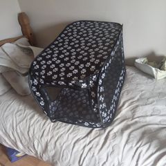 pet kennel