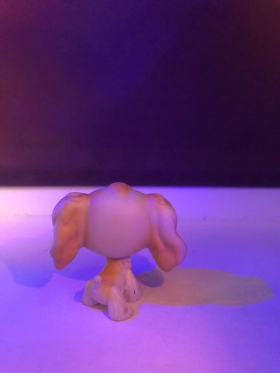 Littlest pet shop