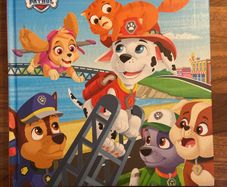 Nickelodeon Paw Patrol Itty Bitty Kitty Rescue hard back book