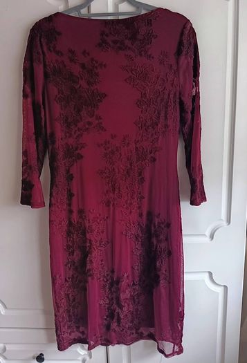 Wallis Embroidered Lace Dress
