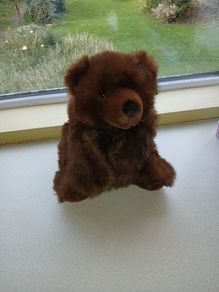 Bear Soft Toy
