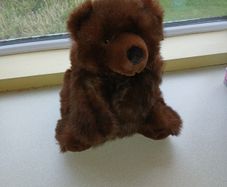 Bear Soft Toy