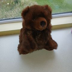 Bear Soft Toy