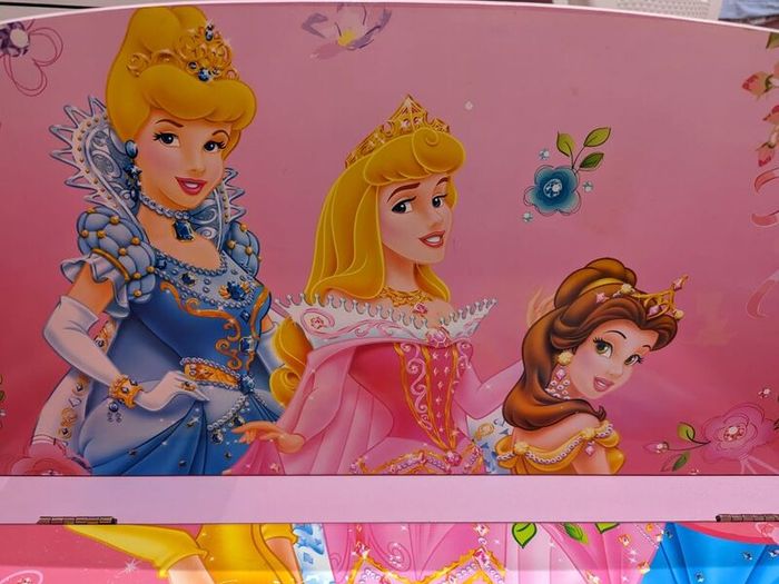 Disney princess bench/desk with storage.