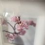 Framed Floral Print Set Image 4