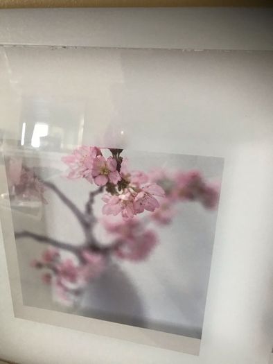 Framed Floral Print Set