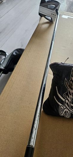 Taylormade Spider EX