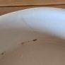 Rae Dunn Halloween candle - Harvest - TKMaxx - never used Image 8