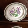 4 Portmerrion Botanical Gardens 8" Side Plates Image 2