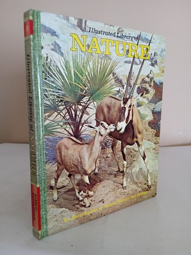 The Illustrated Library of Nature: A Pictorial Encyclopedia of Natural History and Ecology Published by H. S. Stuttman (14 Volumes)