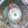 Challenge Hover. McGregor Mower. (Please Read) Image 5