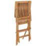 Folding Garden Chairs 2 pcs Solid Teak Wood Image 6