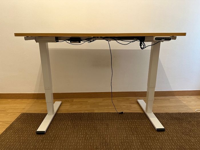 FlexiSpot EQ5 Electric Standing Desk