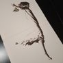 vinyl  Exorcist Image 4