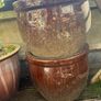 Plant pot Image 4
