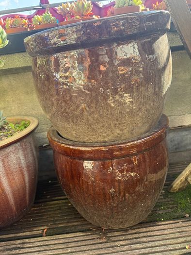 Plant pot