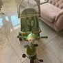green trike Image 3