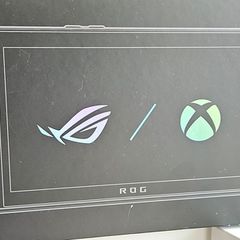 Xbox Ally X