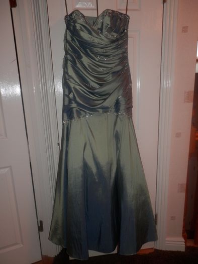 Ladies Ball Gown/Debs/Prom