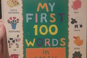 My First 100 words in Irish