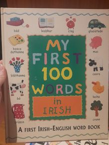 My First 100 words in Irish