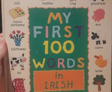 My First 100 words in Irish