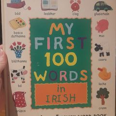 My First 100 words in Irish