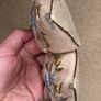 Beige suede flats Image 3