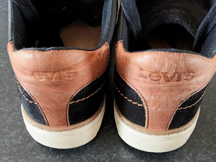 Levis men sneakers