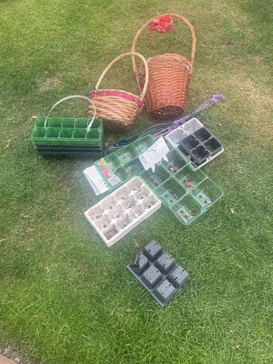 Garden plant Containers and baskets