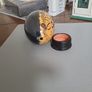 Emu egg Australian Image 5