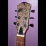 Scrap Guitar Neck And Body Image 3