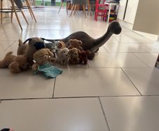 Selection of teddies