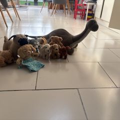 Selection of teddies