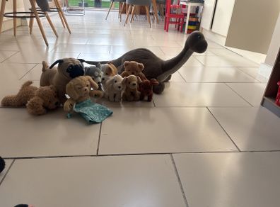 Selection of teddies