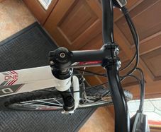 bik