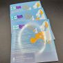 Finland Euro Coin Set 1999 2000 2001 Mint Of Finland Presentation Pack Image 4