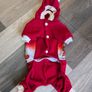 Small dog Christmas outfit Image 3