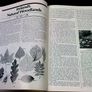 The Irish Wildlife Book Ireland Image 7