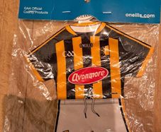 Kilkenny GAA Car Window Sticker