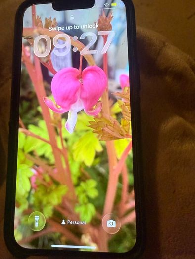 iPhone 13 128gb
