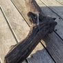 bog oak Image 4