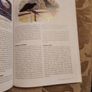 Garden Bird Behaviour. Robert Burton. How To Recognise And Everyday Bird Activities. First Edition Large Volume Paperback In Good Condition. Image 9